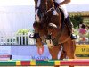 jumper Frisby 39 (German Sport Horse, 2008, from For Pleasure)