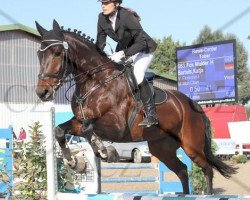 dressage horse Fox Mulder H (Westphalian, 2001, from Florestan I)