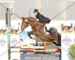 dressage horse Mc Beth (Hanoverian, 1999, from Marbod)