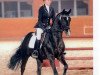 stallion Man in Black (German Riding Pony, 2002, from Mozart)