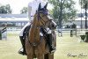 dressage horse Little Lucky Lady (German Riding Pony, 2010, from Black Boy)