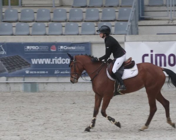 Reitturnier Aachen-Soers 2022