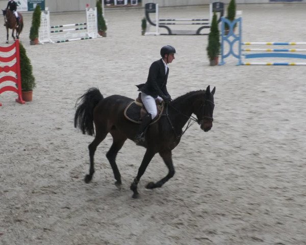 Reitturnier Aachen-Soers 2022