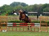 jumper Dulfinas faux pas (Pony without race description, 2002, from Unbekannt PONY)