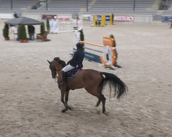 Reitturnier Aachen-Soers 2022