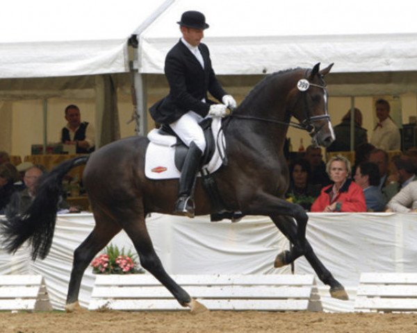 stallion Rosentanz (Hanoverian, 2001, from Rohdiamant)