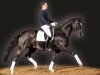 stallion Don Ricoss (Hanoverian, 2002, from Don Frederico)