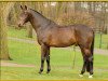 stallion Just Perfect (Württemberger, 2000, from Jazz Time)