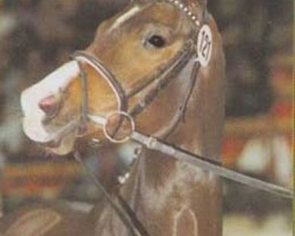 Zuchtstute Lantana V (Trakehner, 1997, von Tycoon)