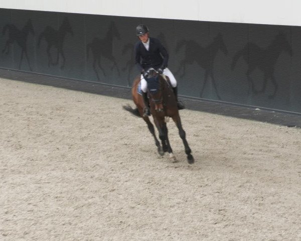 Reitturnier Aachen-Soers 2022