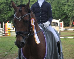 dressage horse Heartbreaker 37 (German Riding Pony, 1998, from Nortenjo)