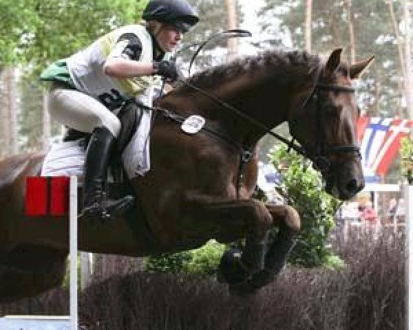 jumper Don Diego 39 (Mecklenburg, 2002, from D'Olympic)