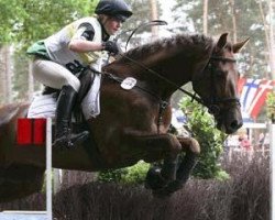 jumper Don Diego 39 (Mecklenburg, 2002, from D'Olympic)