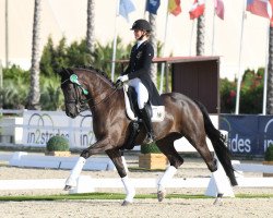 dressage horse Fiesta Bonita (Oldenburg, 2009, from For Compliment)