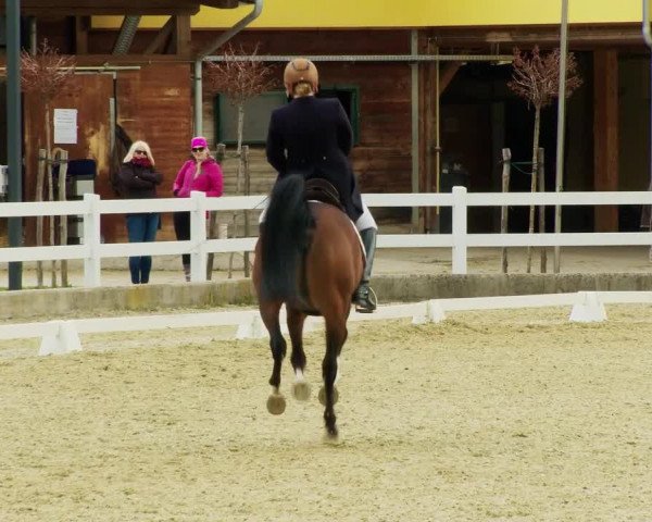 Reitturnier K, St. Margarethen-Stückler 2022