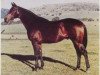 stallion Queen's Hussar xx (Thoroughbred, 1960, from March Past xx)
