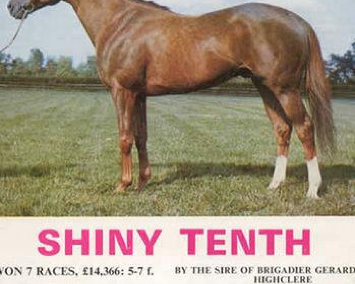 stallion Shiny Tenth xx (Thoroughbred, 1967, from Queen's Hussar xx)