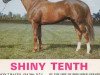 Deckhengst Shiny Tenth xx (Englisches Vollblut, 1967, von Queen's Hussar xx)