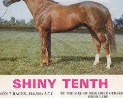 Deckhengst Shiny Tenth xx (Englisches Vollblut, 1967, von Queen's Hussar xx)