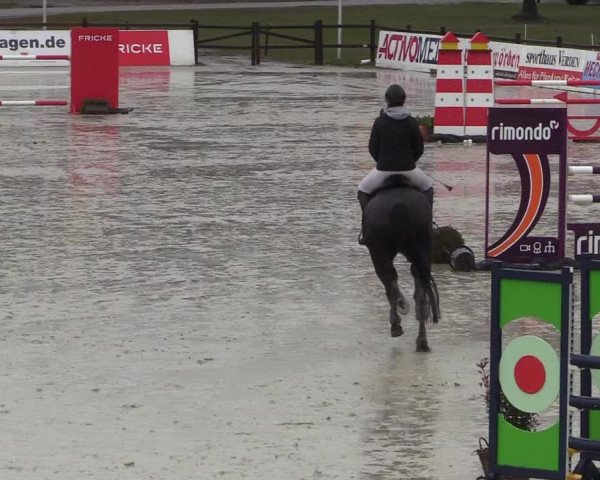 Reitturnier Westergellersen 2022