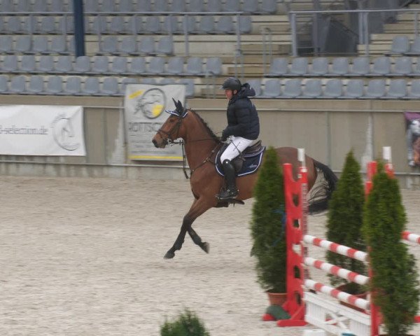 Reitturnier Aachen-Soers 2022