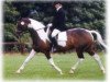 broodmare Iedante I (KWPN (Royal Dutch Sporthorse), 1990, from Ultrazon)