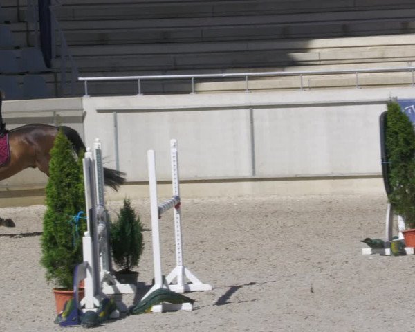 Reitturnier Aachen-Soers 2022