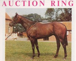 stallion Auction Ring xx (Thoroughbred, 1972, from Bold Bidder xx)