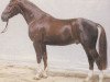 stallion Grafenburg (Hanoverian, 1983, from Grossfuerst)