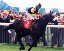 stallion Bob's Return xx (Thoroughbred, 1990, from Bob Back xx)