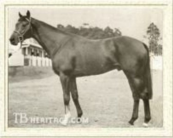 stallion Hawaii xx (Thoroughbred, 1964, from Utrillo xx)