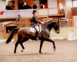 dressage horse Werner 27 (Württemberger, 1997, from Wettruf)