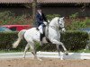 dressage horse Rascal 96 (Hanoverian, 2001, from Rotspon)