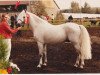 stallion Chirko (Rhinelander, 1976, from Chirk Ceiniad)