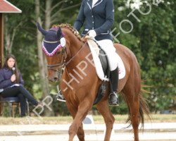 dressage horse Milano 130 (Hessian Warmblood, 1996, from Masai)