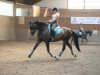 dressage horse Ready To Dance 3 (Hessian Warmblood, 2004, from Ritter Remus)