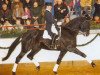 stallion Dressman (Hanoverian, 1983, from Delano)