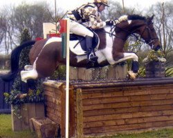 horse Stanhopes Shamman (British Sport Horse, 1994, from Stanhope's Diddicoy)