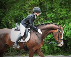 dressage horse Feodora 5 (Oldenburg, 2014, from Foundation 2)