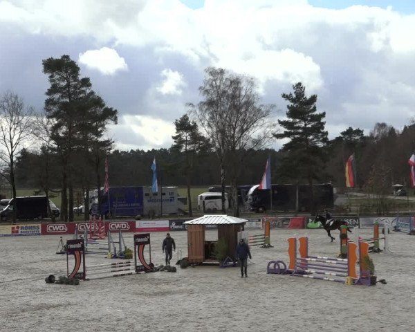Reitturnier Westergellersen 2022
