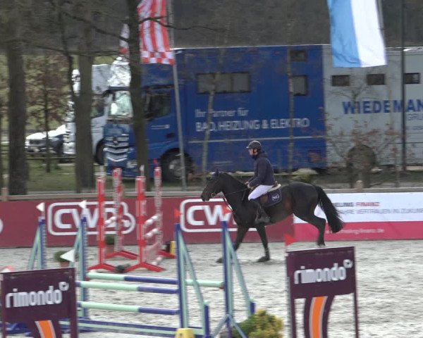 Reitturnier Westergellersen 2022