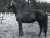 horse Sans Souci II xx (Thoroughbred, 1904, from Le Roi Soleil xx)