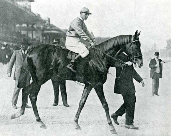 stallion La Farina xx (Thoroughbred, 1911, from Sans Souci II xx)