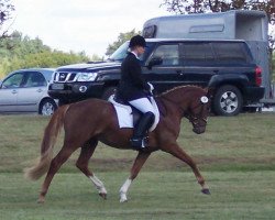 broodmare Jenny (German Riding Pony, 2002, from Pink Floyd)