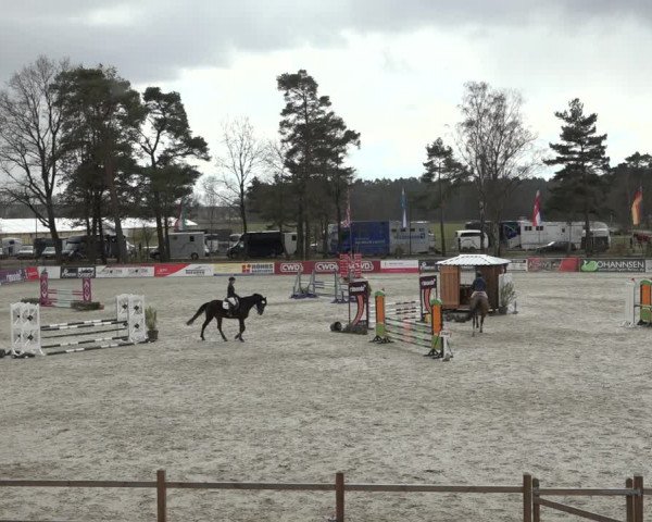 Reitturnier Westergellersen 2022