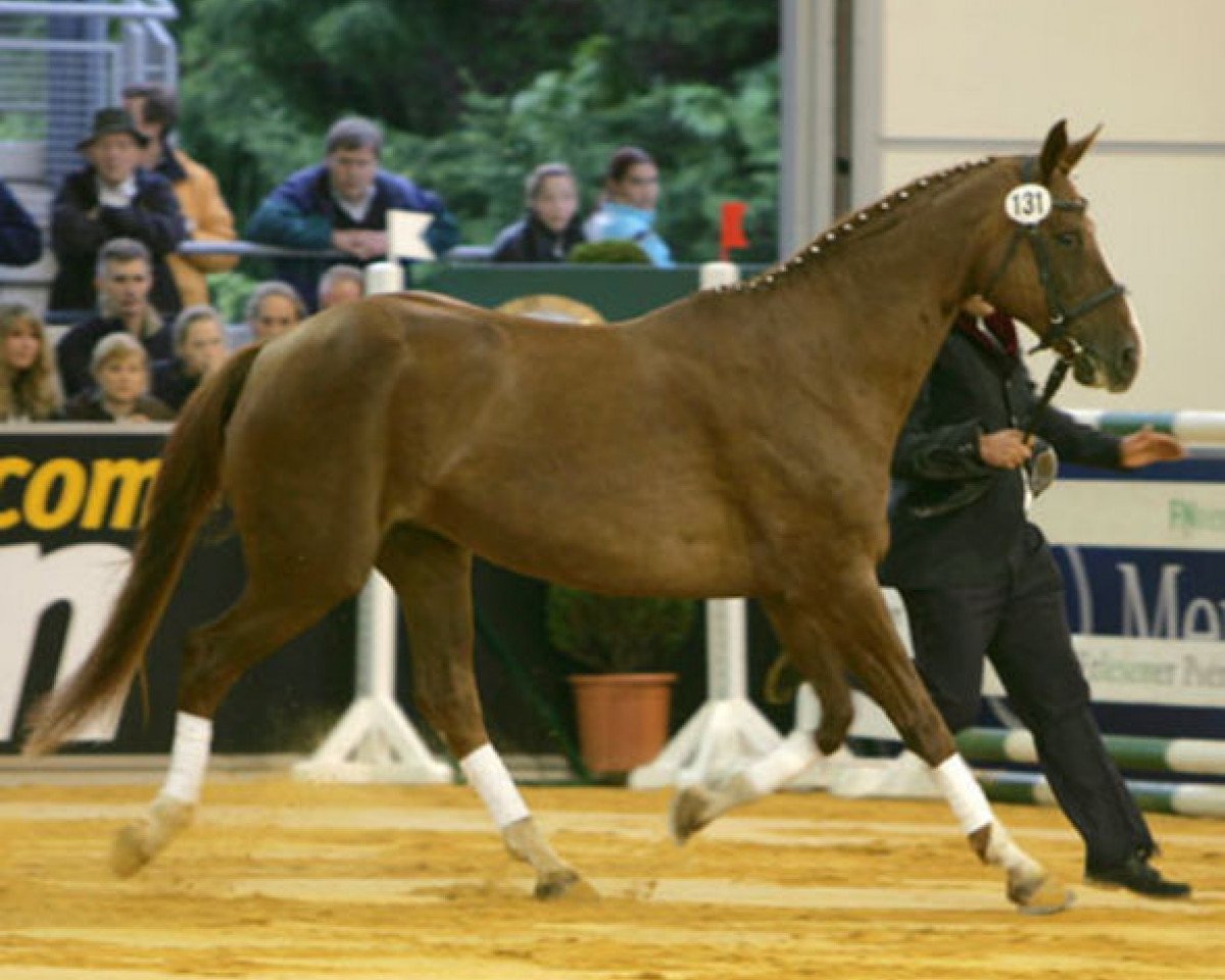 broodmare Poesie (Brandenburg, 1992, from Brentano II)