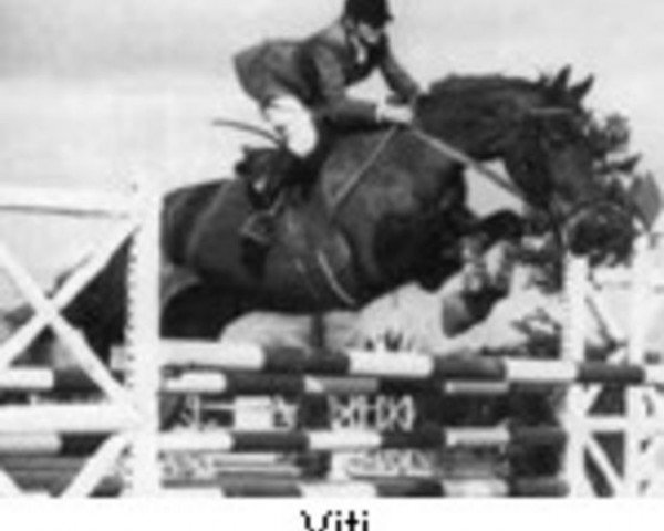 broodmare Viti (FR) (French Trotter, 1965, from Nystag (FR))