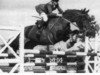 horse Viti (FR) (French Trotter, 1965, from Nystag (FR))
