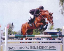 broodmare Pretoria (Hanoverian, 1995, from Pit I)