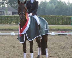 dressage horse Steppo 2 (Westphalian, 2008, from Spielberg)